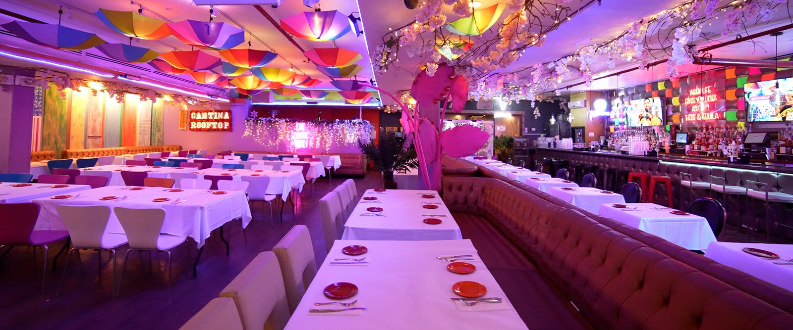 Sin título-1_0000_Screenshoot.00_00_07_22.Imagen fija001